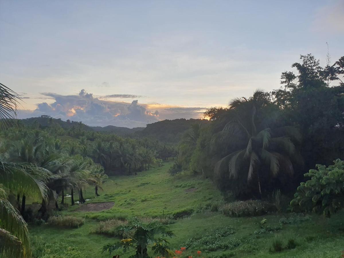 Mango Tree Siargao Βίλα General Luna  Εξωτερικό φωτογραφία